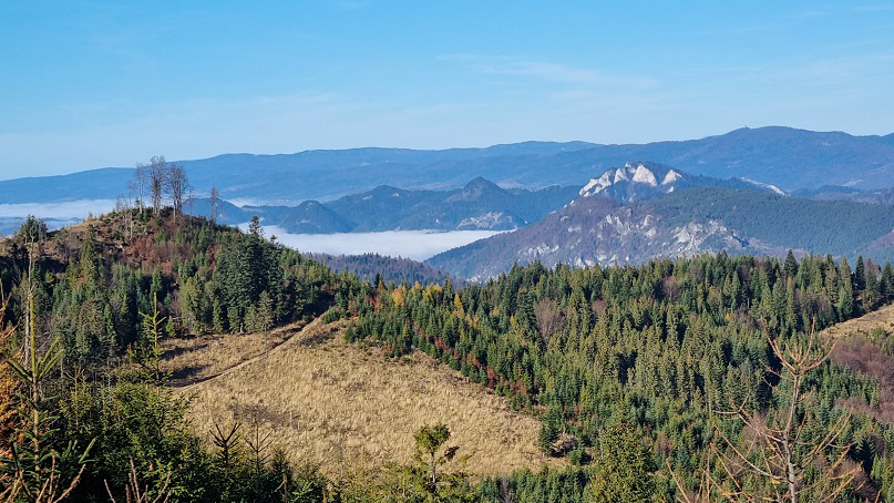 Pieniny